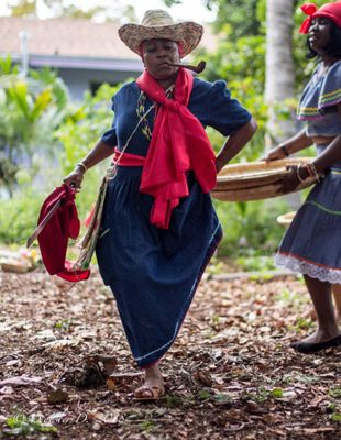 Tap Tap Tours & Transportation LLC by null