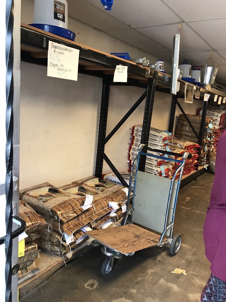 CANDIES PET SUPPLY & GROOMING 69 Photos & 62 Reviews 1557 Altadena