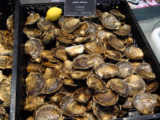 Vieux Marché de La Rochelle by null