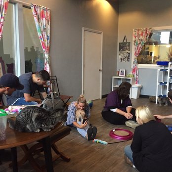 Happy Cat Cafe - Everyone enjoying the kitties. - Coffee & Tea Near Me - Grand Rapids, Michigan