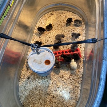 Atwoods Ranch Home Supply Hardware Stores 1811 Us Hwy 259 N Kilgore Tx Phone Number Yelp