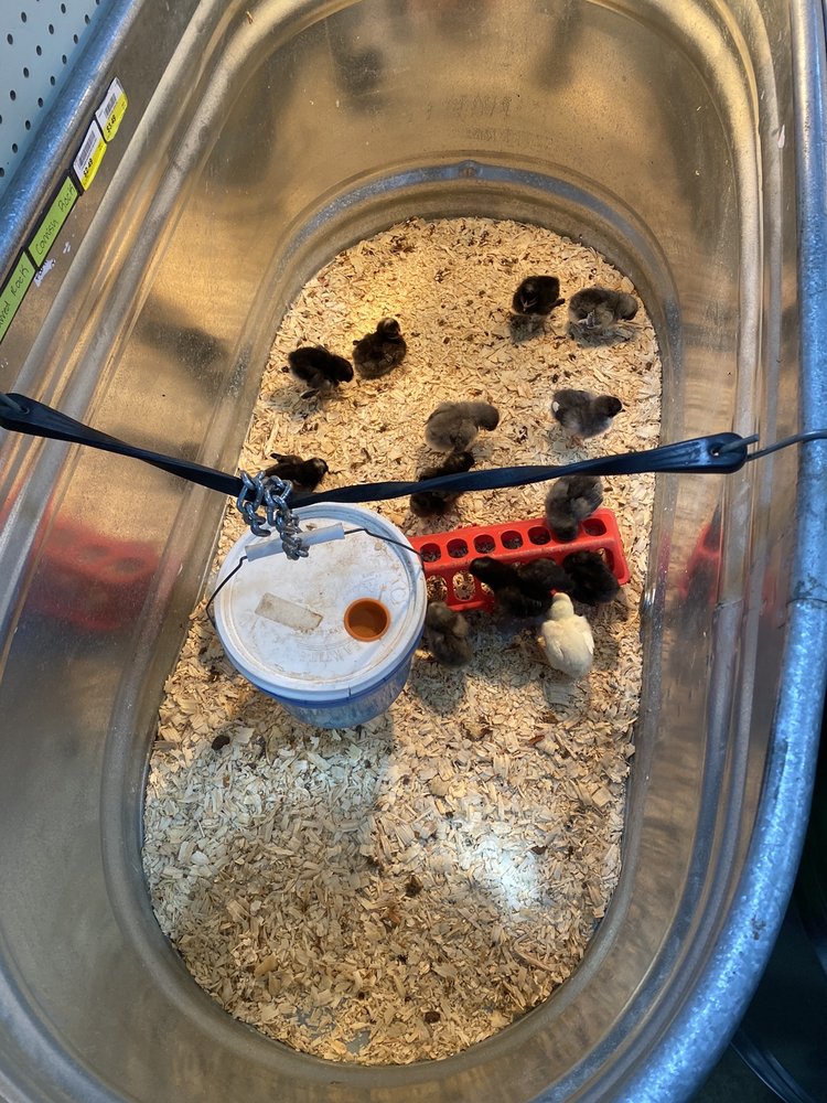 ATWOODS RANCH & HOME SUPPLY Updated August 2024 1811 US Hwy 259 N