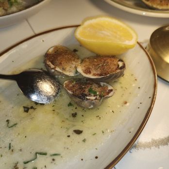 Lena Trattoria - Baked clams - Pizza Near Me - Bronx, New York Lena Trattoria - Baked clams - Pizza Near Me - Bronx, New York