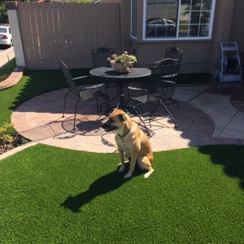 Elite Artificial Grass - Artificial Turf Near Me - Brea, California Elite Artificial Grass - Artificial Turf Near Me - Brea, California