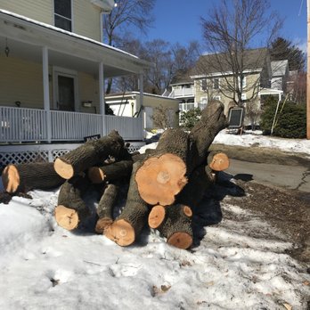 All Pro Tree Service - The wood was neatly piled up for pickup. A neighbor decided to use it for firewood so all was good. - Tree Services Near Me - Marlborough, Massachusetts