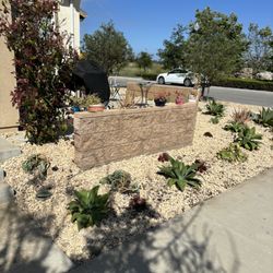 Ledesma Landscape