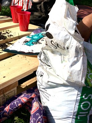 Pelham Bay Park by null