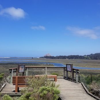 Los Osos Elfin Forest - Elfin Forest: Lookout towards Morro Rock - Parks Near Me