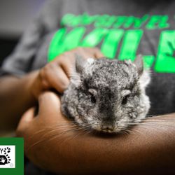 PAWsitively Wild Animal Encounters & Education Center