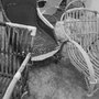 Lynne's Caning Shop