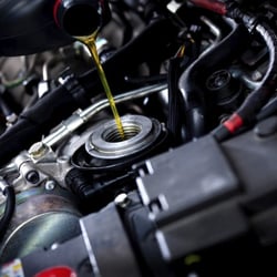 Shark Tooth Automotive Specialists
