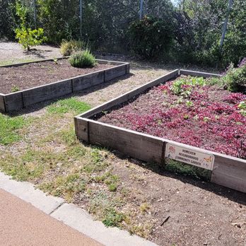 O’Donnell Park - Community Garden - Parks Near Me - Belmont, California O’Donnell Park - Community Garden - Parks Near Me - Belmont, California