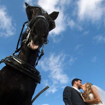 Metzger Studios - Event Photography Near Me
