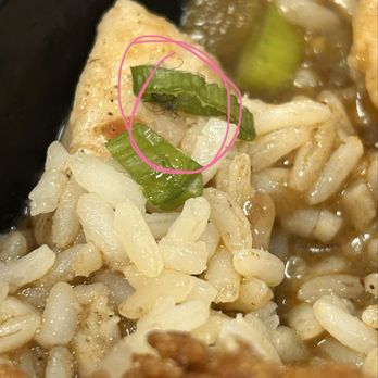 Tricky Fish - Kitchen Sink Gumbo - Bowl - Seafood Near Me - Richardson, Texas Tricky Fish - Kitchen Sink Gumbo - Bowl - Seafood Near Me - Richardson, Texas