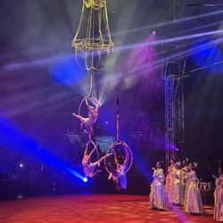 Circus Vargas