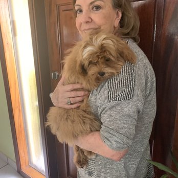 LILO'S Mobile Pet Spa - Here is Teddy with my mom .. looking awesome thanks to Victoria from Lilos Pet Spa - Pet Groomers Near Me LILO'S Mobile Pet Spa - Here is Teddy with my mom .. looking awesome thanks to Victoria from Lilos Pet Spa - Pet Groomers Near Me
