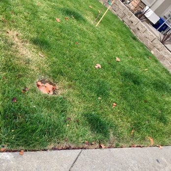 Jose The Lawnmowerman - Lawn not leveled out properly resulting in areas of unsightly high and low grass. - Landscaping Near Me Jose The Lawnmowerman - Lawn not leveled out properly resulting in areas of unsightly high and low grass. - Landscaping Near Me