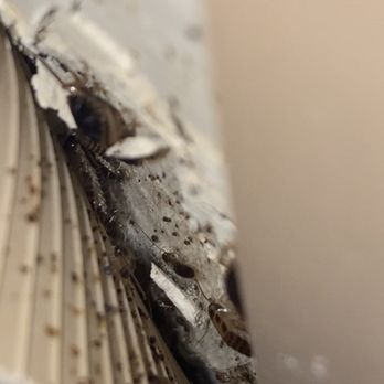 Willowbrook Apartments - ROACHES - Apartments Near Me - Cranston, Rhode Island