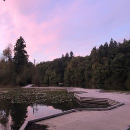 The docks during sunset