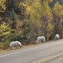 Photo of Spearfish Canyon Scenic Byway