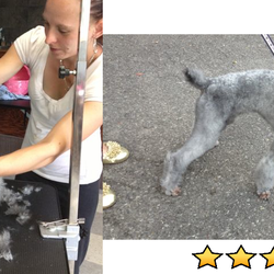 Furry Tails - Before and After!