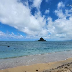 Kualoa Regional Park - Nice day