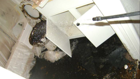 Slide of Butler Restoration