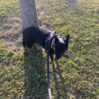 Atascocita Park - Pup friendly. - Parks Near Me - Atascocita, Texas