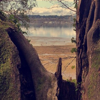 Squaxin Park - View of the water from the coastal trail system. Don't mind the Snapchat filter haha. - Parks Near Me - Olympia, Washington