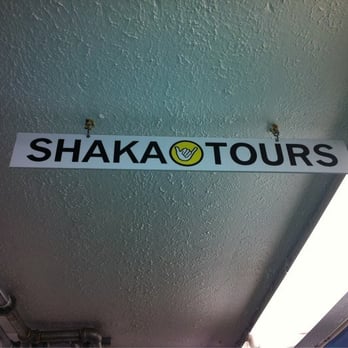 Shaka Tours - Look up or you might just miss it! - Tours Near Me - Honolulu, Hawaii