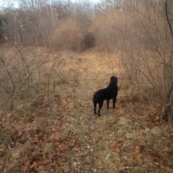Methuen Rail Trail - Rail trail has paths too