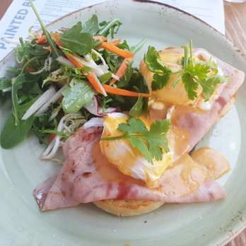 The Painted Burro - Burro benedict was great! - Mexican Near Me - Somerville, Massachusetts