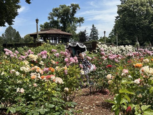 Peninsula Park Rose Garden by null