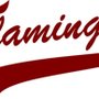 Photo of Flamingos Berlin - Baseball im Norden Berlins