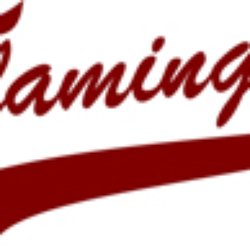 Flamingos Berlin - Baseball im Norden Berlins