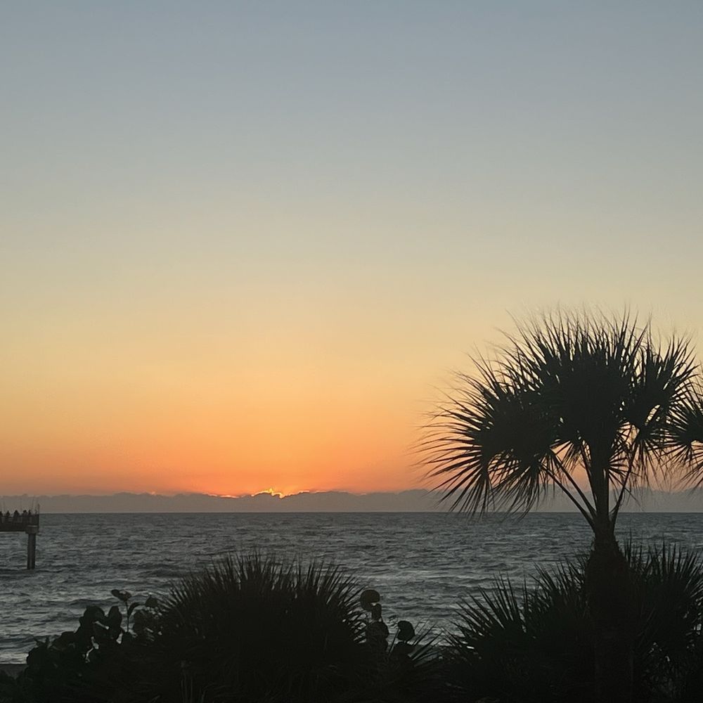 Fins At Sharky's - Sunset at fins - Steakhouses Near Me - Venice, Florida Fins At Sharky's - Sunset at fins - Steakhouses Near Me - Venice, Florida