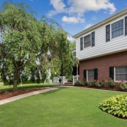 UpperCuts Lawn Care - Edging and bush/tree are a portion of our add-on options available.