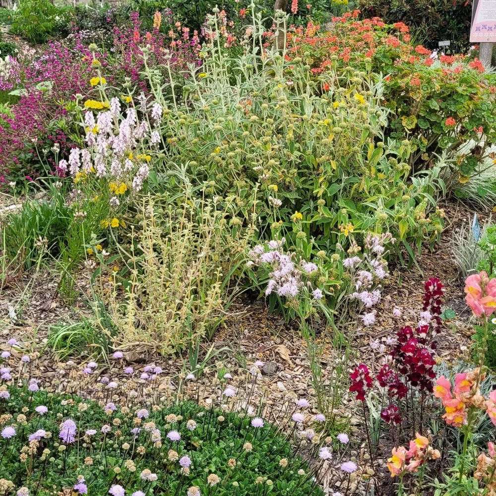 San Diego Botanic Garden - Botanical Gardens Near Me - Encinitas, California