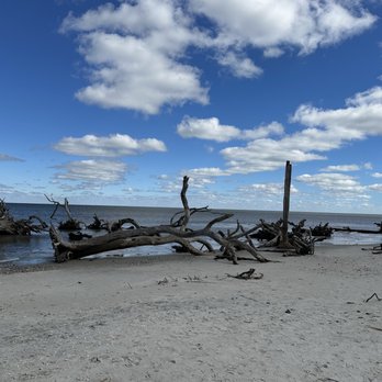 Driftwood Beach - Beaches Near Me - Jekyll Island, Georgia Driftwood Beach - Beaches Near Me - Jekyll Island, Georgia