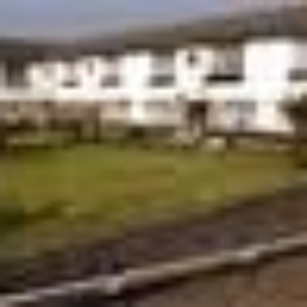 Chavecroft Sheltered Housing - Community Service/Non-Profit Near Me - Epsom, SRY