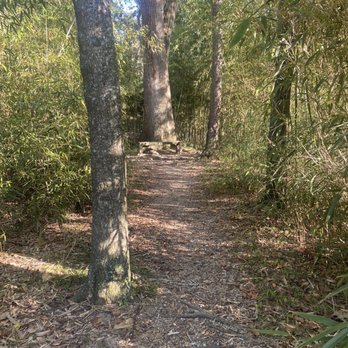 Hilltop Arboretum - Parks Near Me - Baton Rouge, Louisiana Hilltop Arboretum - Parks Near Me - Baton Rouge, Louisiana