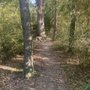 Photo of Hilltop Arboretum