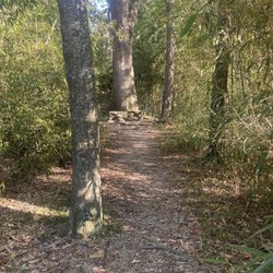 Hilltop Arboretum