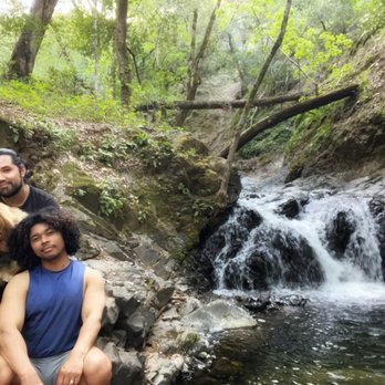 Uvas Canyon County Park - Waterfall Loop Trail - Parks Near Me - Morgan Hill, California