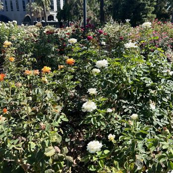 Capitol Park - Parks Near Me - Sacramento, California Capitol Park - Parks Near Me - Sacramento, California