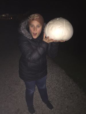 Coleman's Farm - Saline by null