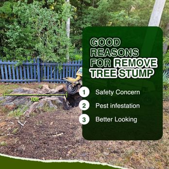 R&R Tree Services - Tree Services Near Me - Summerville, South Carolina
