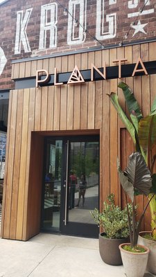 PLANTA by null PLANTA by null