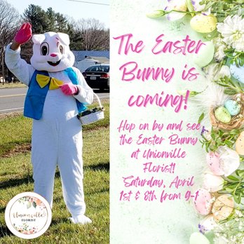 Unionville Florist - It's Almost time for the Easter Bunny to visit Unionville Florist again!
Come visit us and get your picture taken! - Florists Near Me - Rhoadesville, Virginia Unionville Florist - It's Almost time for the Easter Bunny to visit Unionville Florist again!
Come visit us and get your picture taken! - Florists Near Me - Rhoadesville, Virginia