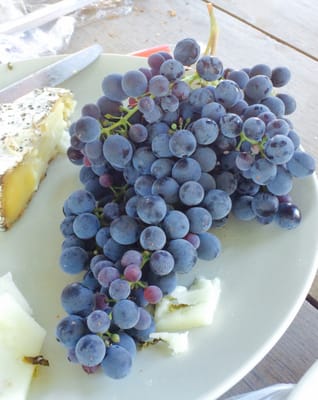 Benessere Vineyards by null